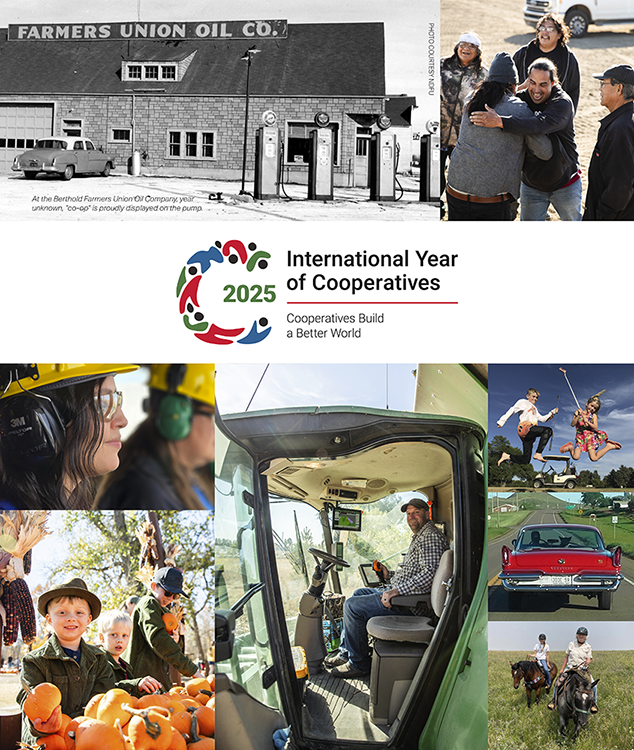 International Year of Cooperative