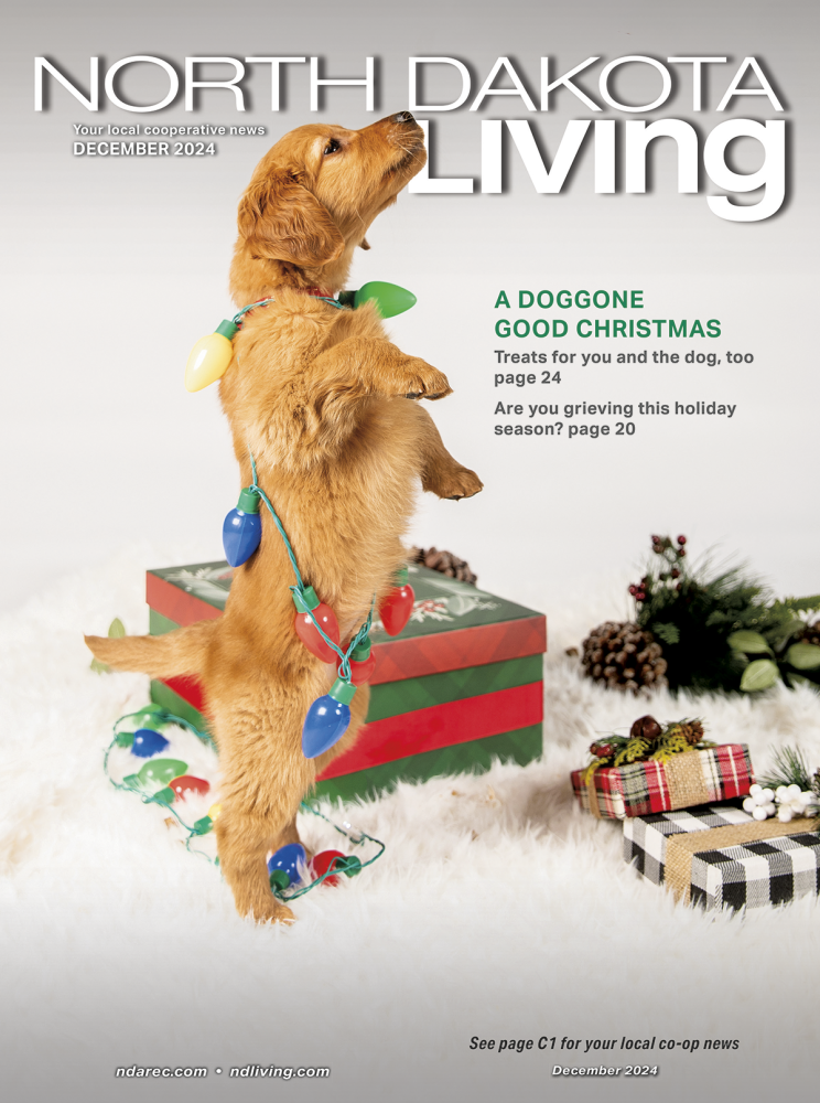 Dec. cover