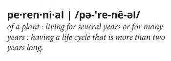 PERENNIAL Definition