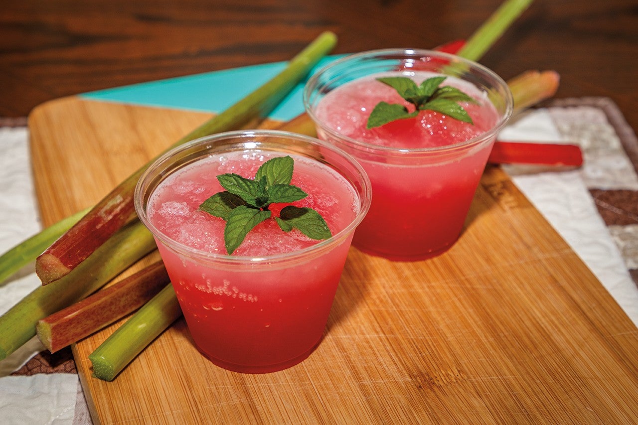 Rhubarb Slush | North Dakota Living