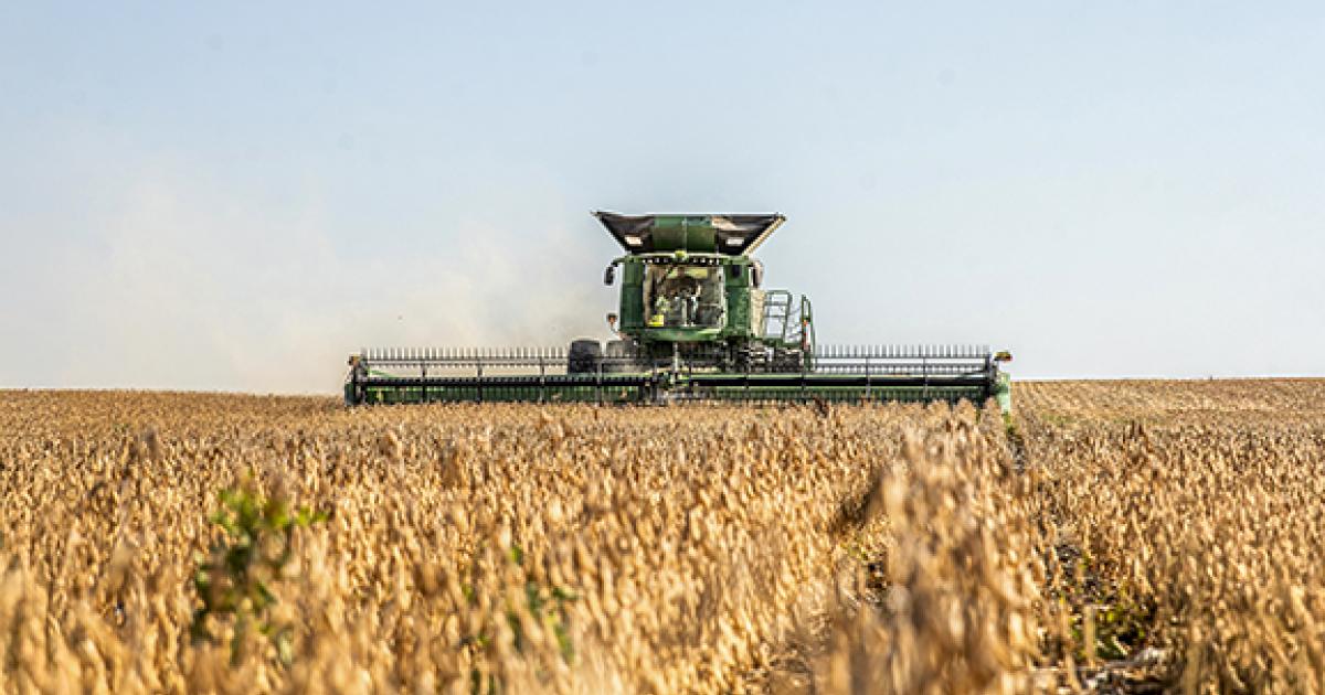 A beautiful, but dry and dusty day during early bean harvest in rural Steele.