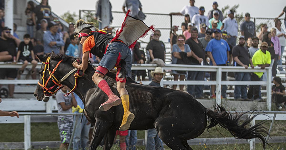 Horse relay revival