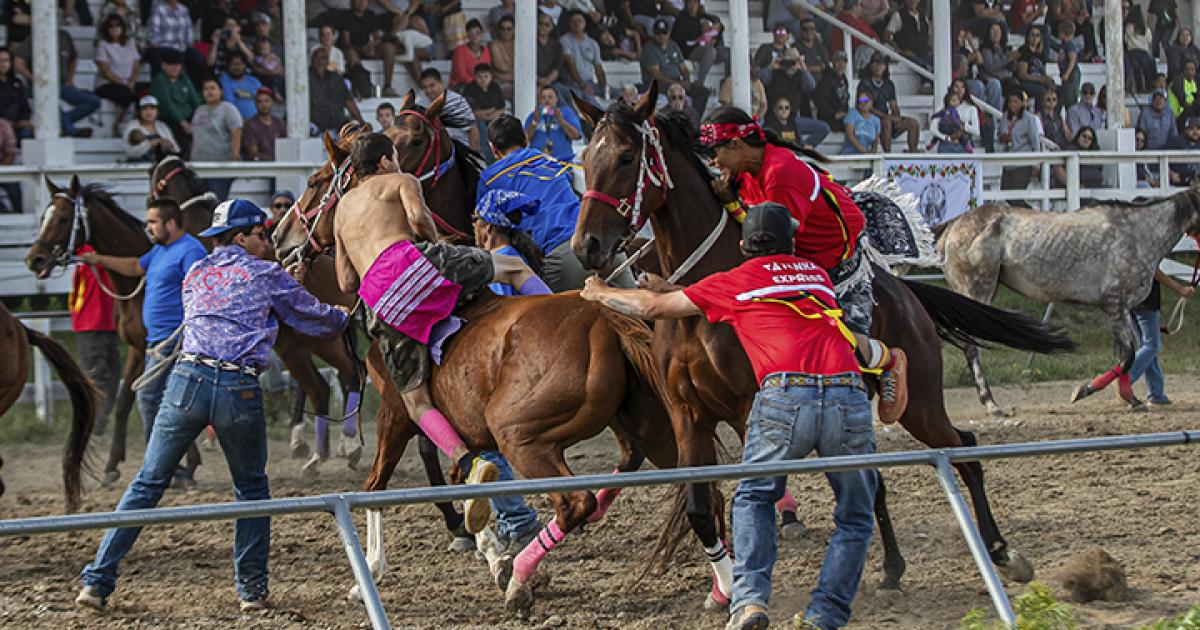 Horse relay revival