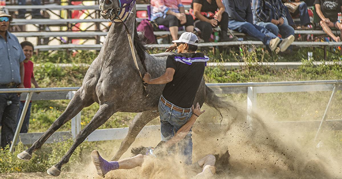 Horse relay revival