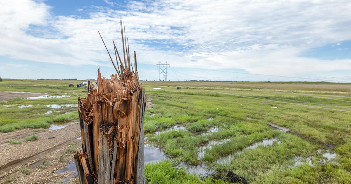 An electric pole snapped during a summer storm. PHOTO COURTESY MINNKOTA POWER COOPERATIVE