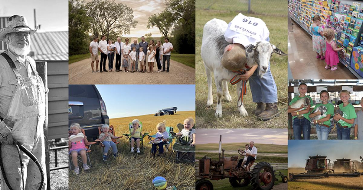 International Year of Cooperatives