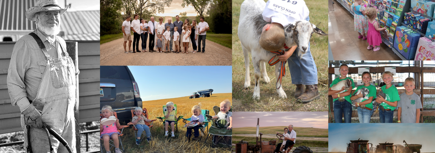 International Year of Cooperatives
