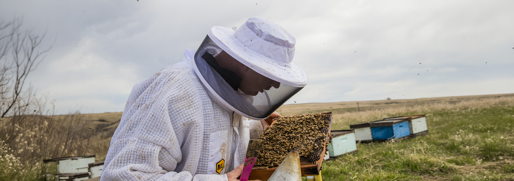 Hanna Honey Farm